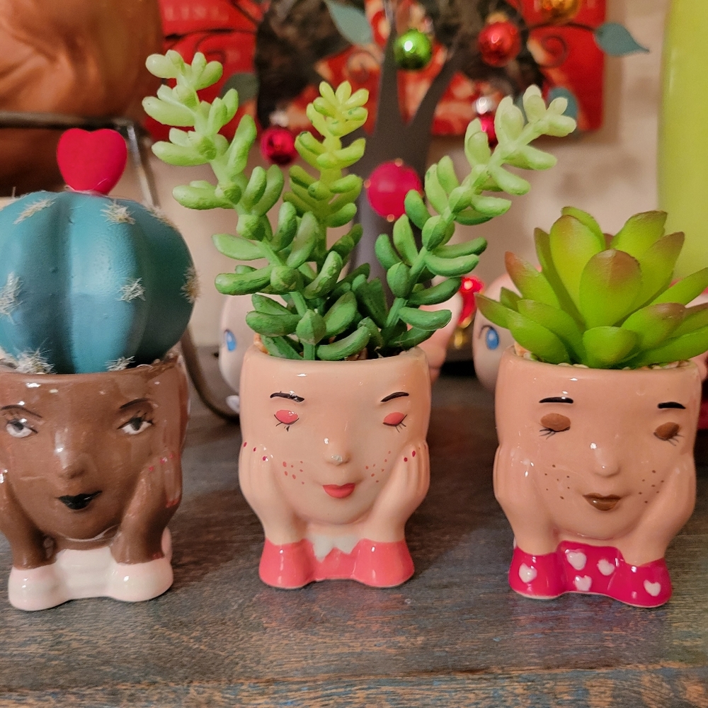 Kohl's Celebrate Together™ Valentine's Day Artificial Succulent Planter 3-pieces - Picture 2 of 16